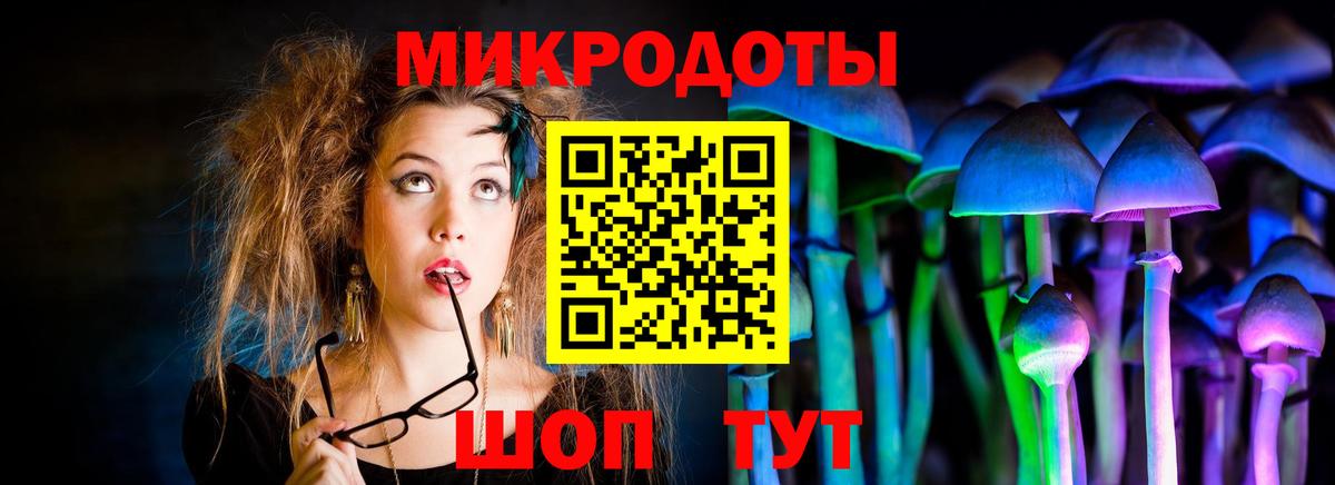 где можно купить наркотик  Вход с VPN  Галлюциногенные грибы GOLDEN TEACHER  Сегежа  Псилоцибиновые грибы Psilocybine cubensis 