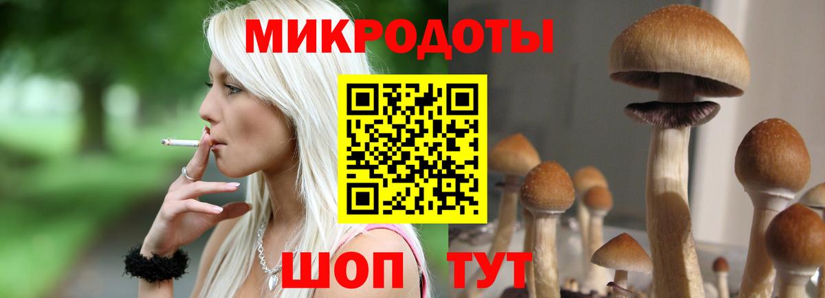 Псилоцибиновые грибы Psilocybine cubensis Сегежа